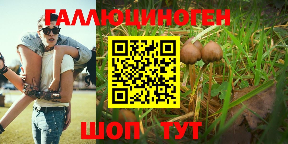 даркнет сайт  Вход с VPN  Кимры  Галлюциногенные грибы Magic Shrooms  Галлюциногенные грибы прущие грибы 