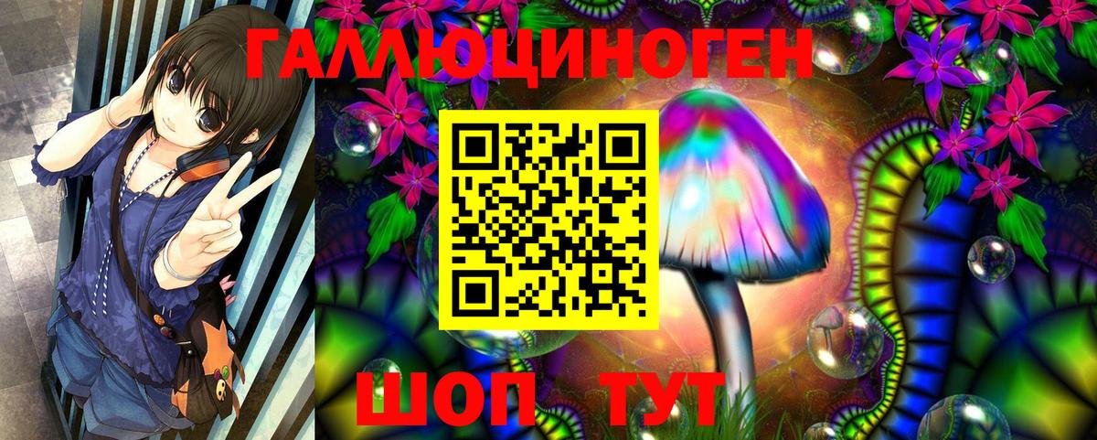 Псилоцибиновые грибы GOLDEN TEACHER Кимры